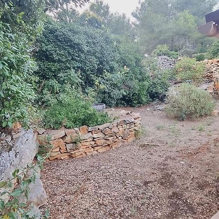 Maisonnette Chez L'Habitant La Ciotat Eksteriør billede