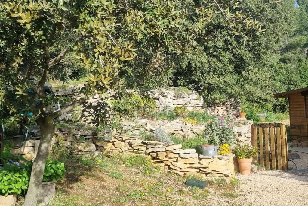 Maisonnette Chez L'Habitant La Ciotat Eksteriør billede